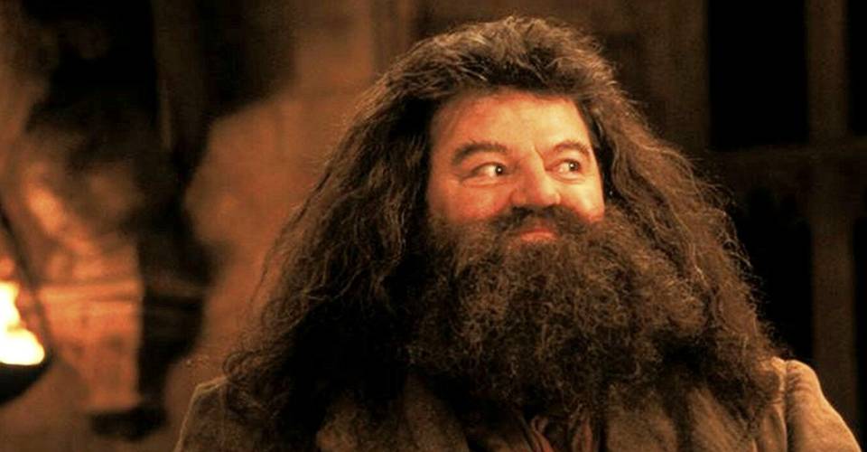 Harry Potter 10 Hilarious Hagrid Logic Memes That Are Too Funny Harry Potter 10 Hilarious Hagrid Logic Memes That Are Too Funny
